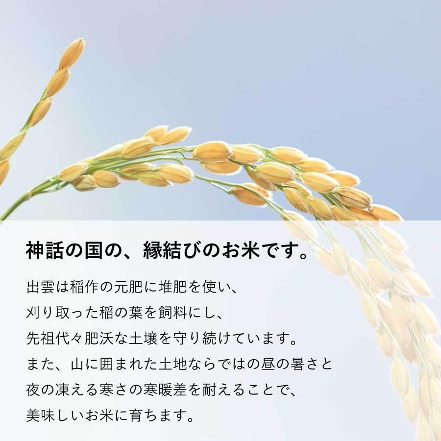 お米 ギフト 島根県産 出雲の縁結び米 美味しいギフト 300g Add和TOKYO