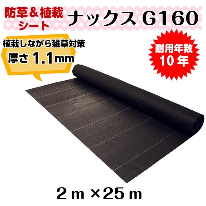 防草緑化シート「ナックスG160(2ｍ×25ｍ)」　厚さ1.1ｍｍ 耐用年数約10年（送料無料） 白崎コーポレーション