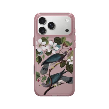 iPhone 17 Pro Max Clear (相機按鈕) 晶醺玫 - The British Library - 美洲鳥譜 ‧ 帶尾原鴿