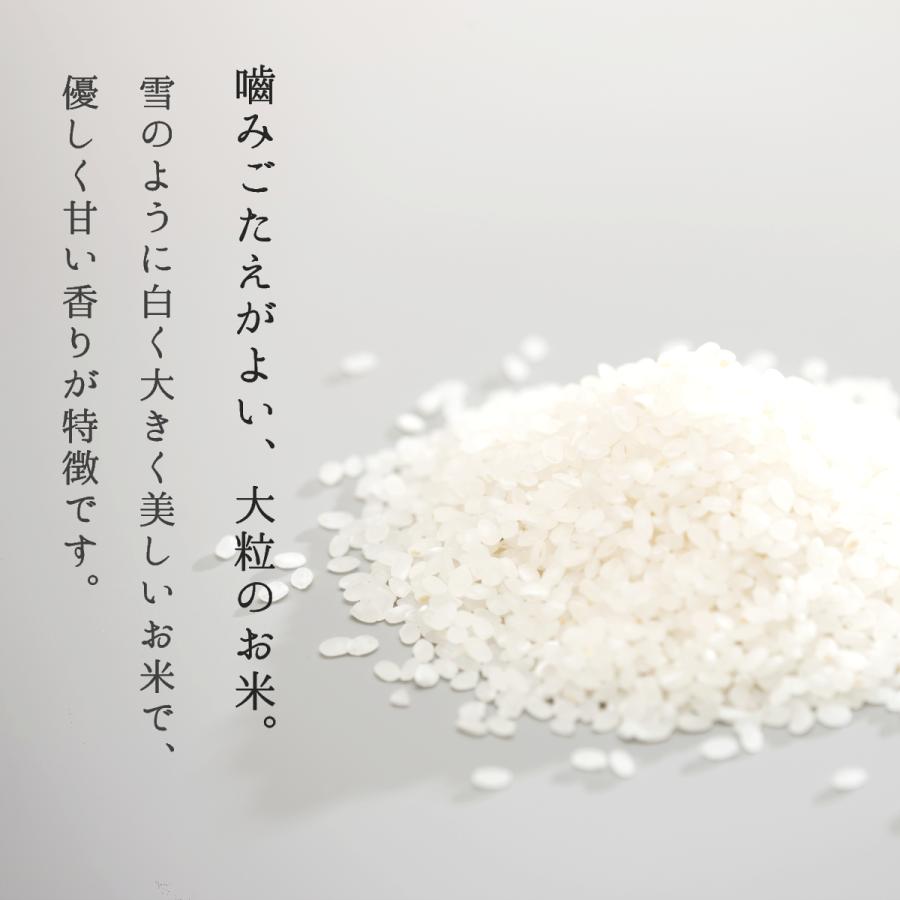 雪若丸 お米 30kg 10kg×3袋 米 新米 令和5年 玄米 白米 山形県産 送料無料