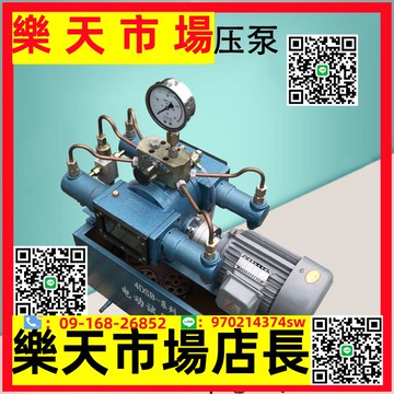 4DSB電動試壓泵 超高壓閥門打壓機 可保壓管路檢漏儀壓力泵試驗泵