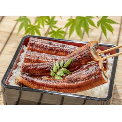 ふるさと納税 銚子市 国産うなぎ 中3串(108g×3)