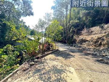 美濃茶頂山4.7甲大地坪優質農地【專約】｜高雄市美濃區龍廣段