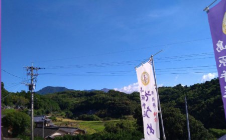 2年蔵出し そうめん 原城 3kg   南島原市   宮崎製麺所[SDN003]