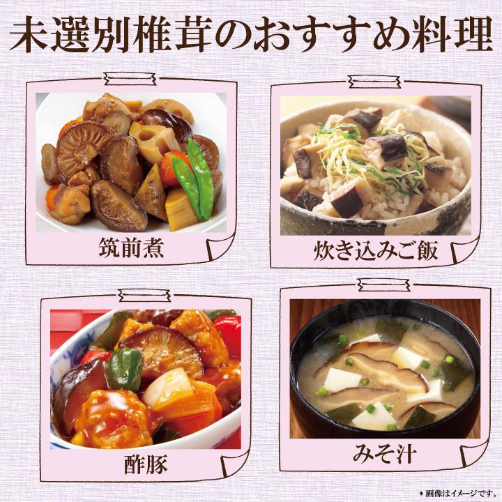 国内産未選別椎茸300ｇ　干し椎茸 国産 送料無料 業務用 無農薬 原木栽培