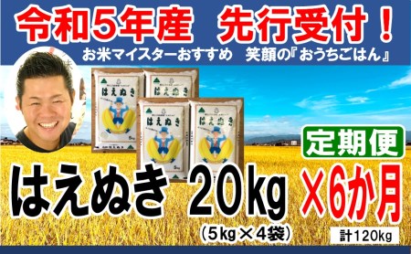  はえぬき 計20kg 月 1回配送 5kg×4袋 2023年産 [006R5-034]