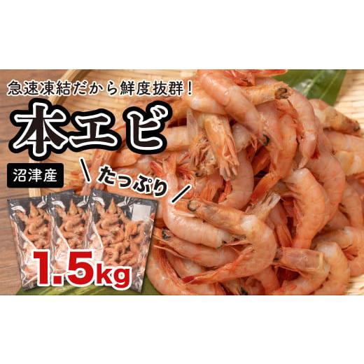 ふるさと納税 静岡県 沼津市 えび 冷凍 海老 Ｍサイズ 1.5kg 500g 3パック 駿河湾 採れたて 鮮度抜群 エビ餃子 エビチリ エビ餃子