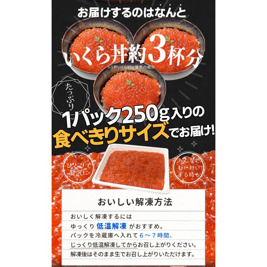 いくら 醤油漬け ５００ｇ（２５０ｇ×２パック） 送料無料 鱒いくら 味付けいくら 食べきりサイズ いくら丼 鱒子 海鮮丼 ちらし 寿司 冷凍