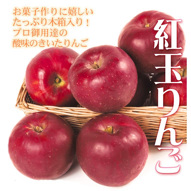 りんご 10kg 紅玉 青森産 ご家庭用 送料無料 食品