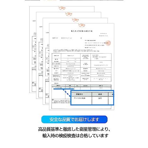 白きくらげ 大容量100g 無農薬ハウス栽培 乾燥白きくらげ(100グラム単品)