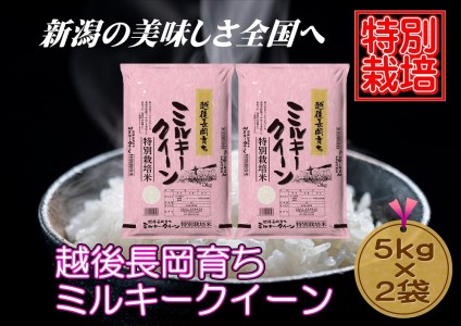 新潟県産ミルキークイーン　5kg×2袋（越後長岡育ち）