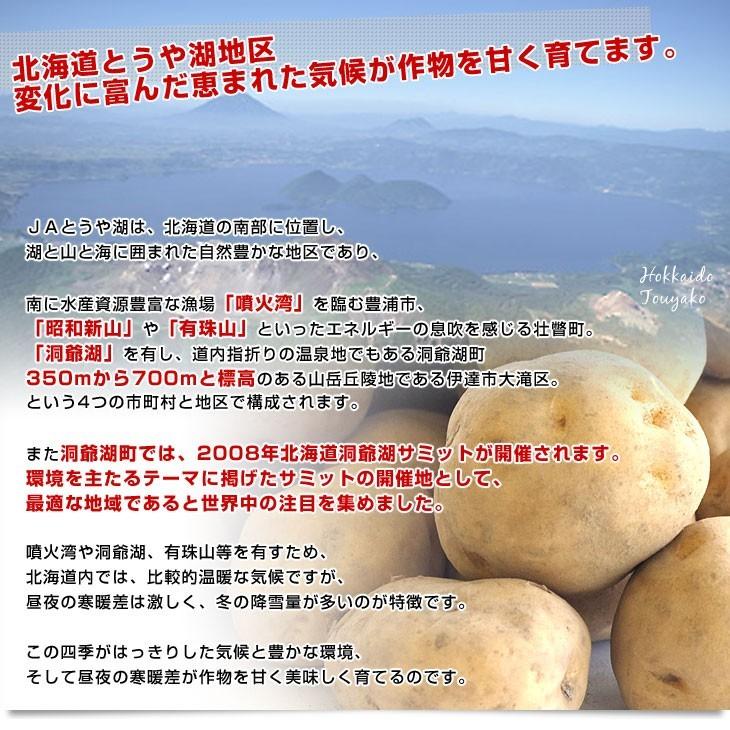 北海道より産地直送 JAとうや湖 じゃがいも 湖ばれいしょ「男爵」 Lサイズ 10キロ 馬鈴薯 ジャガイモ 送料無料