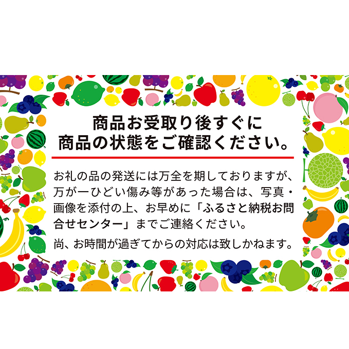 先行予約 2024年8月発送 北海道 仁木町産 いちご 「 すずあかね 」 (S36粒) 今野農園