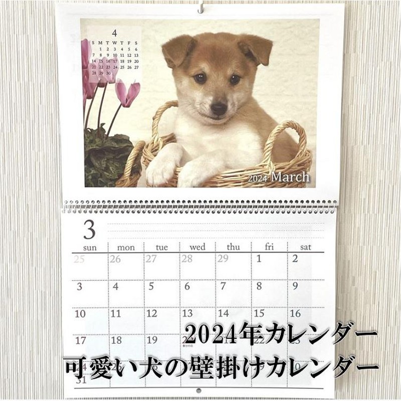 壁掛けカレンダー カレンダー 2024年 可愛い 犬 の カレンダー B4