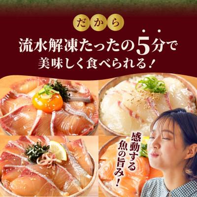 ふるさと納税 延岡市 日向灘ブリ・日向灘真鯛・日向灘カンパチ・生サーモンの海鮮丼 4種食べ比べセット(8パック入り)