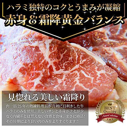 牛ハラミ焼肉（タレ漬け） メガ盛り バーベキュー用 (2kg(250g×8))