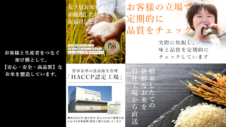 《 令和5年産 》茨城県産 無洗米 コシヒカリ 20kg 5kg × 4袋  こしひかり 米 コメ こめ 五ツ星 高品質 白米 精米 時短 期間限定 新米 [AC029us]