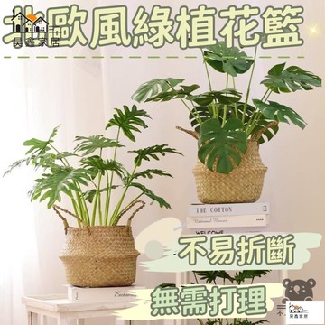 公司貨 可開發票 免運 【仿真綠植 創意家居】北歐風 綠色植物 裝飾品 小型辦公室擺件 假花乾花 綠色盆栽 桌面擺件 ins風 拍照道具工廠現貨直銷 店長推薦 全館八折 售後保障 5h926