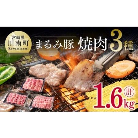 ふるさと納税 豚肉焼肉3種　計1.6kg 【 豚肉 豚 肉 国産豚肉 宮崎県産豚肉 ぶた 豚 炒めもの 豚 BBQ 豚 豚肉セット 豚肉詰合せ 豚 .. 宮崎県川南町