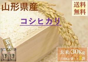 山形県産玄米 ３０Kｇ 袋