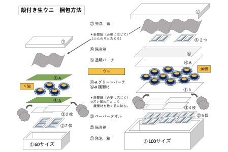 (10043)殻付きウニ 4個 生うに 雲丹  長門市 ムラサキウニ