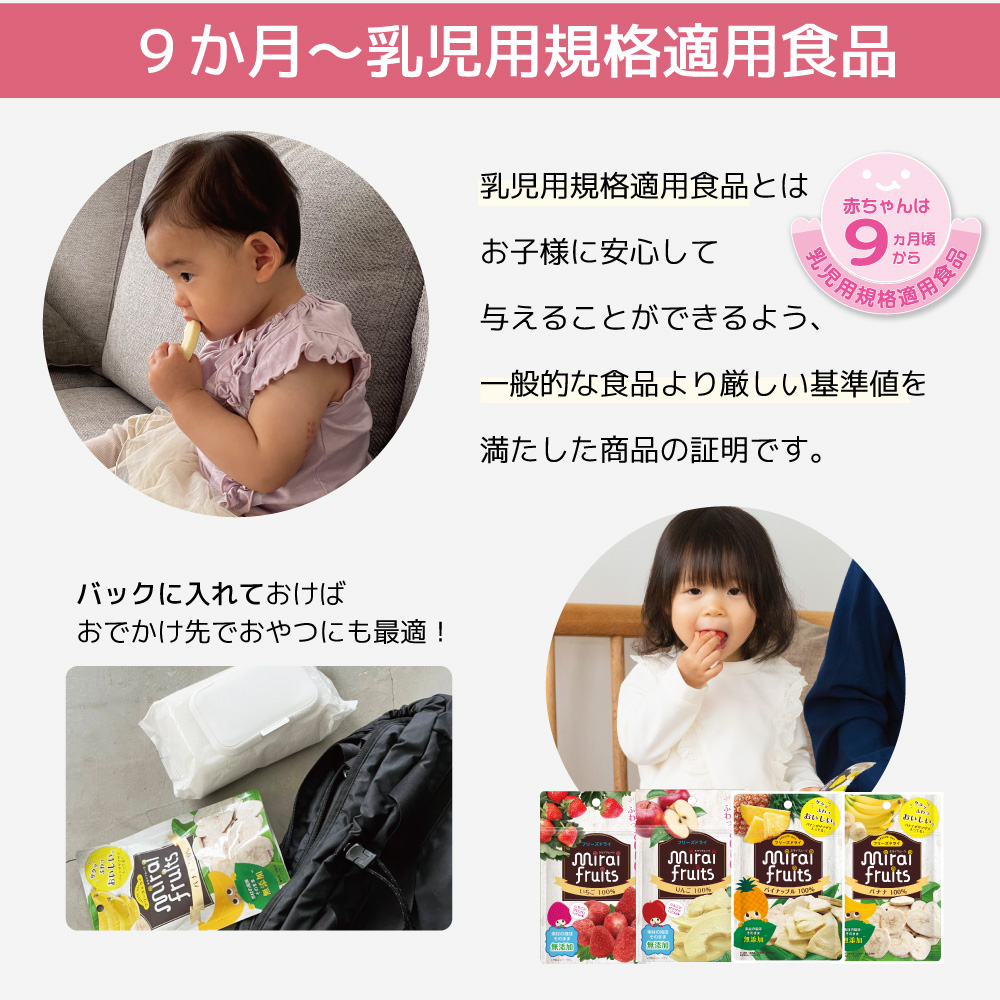 乳児用規格適用食品 フリーズドライフルーツ いちご りんご バナナ パイナップル ミライミライフルーツ 無添加 砂糖不使用