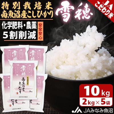 ふるさと納税 南魚沼市 「特別栽培米南魚沼産こしひかり雪穂」精米 2kg×5袋