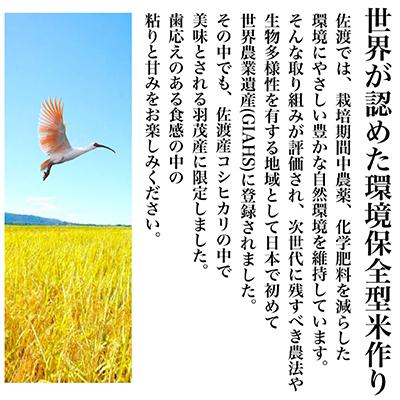 ふるさと納税 佐渡市 佐渡羽茂産コシヒカリ 900g×6袋(精米)全6回