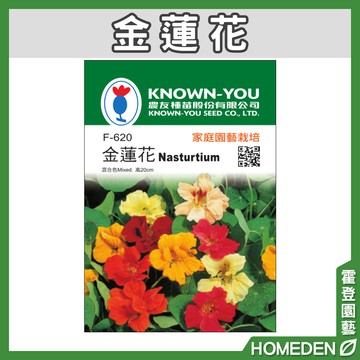 【隔日到貨】金蓮花 F-620 花卉種子 農友牌 小包裝種子 約10粒/包【HOMEDEN霍登園藝】