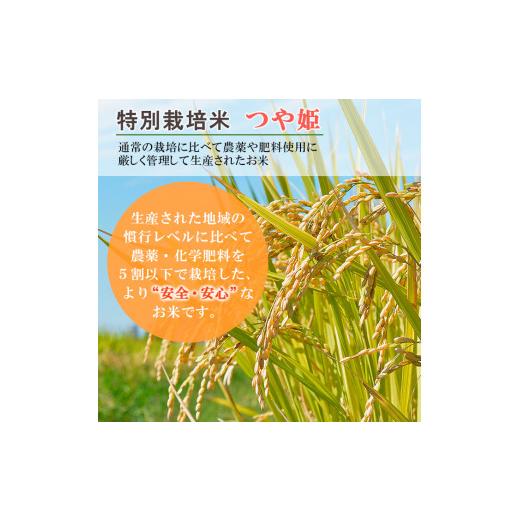 ふるさと納税 山形県 山形市 特別栽培米 つや姫 5kg×3ヶ月(計15kg) FY23-748