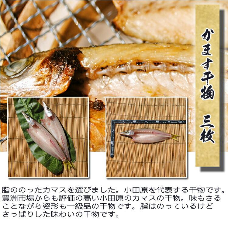 お歳暮 ギフト 干物 お取り寄せ グルメ プレゼント 贈答品  送料無料  小田原ひもの 山市 干物詰合せ 5種10枚   食品 魚 国産