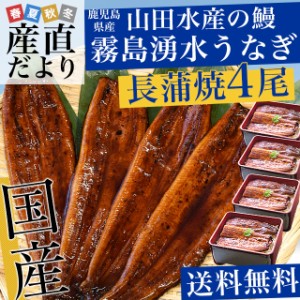 鹿児島県志布志産 山田水産 霧島湧水うなぎ 長蒲焼き 大サイズ4尾セット（140g前後×4尾）送料無料 ギフト クール冷凍便 鰻 ギフト