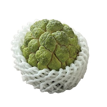 十翼饌 【十翼饌選果】台東大目釋迦(6-7粒入/5斤)x1盒