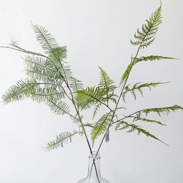 仿真文竹 蜈蚣草仿真植物 蕨葉 單支中式樣板間葉材 日式裝置葉子
