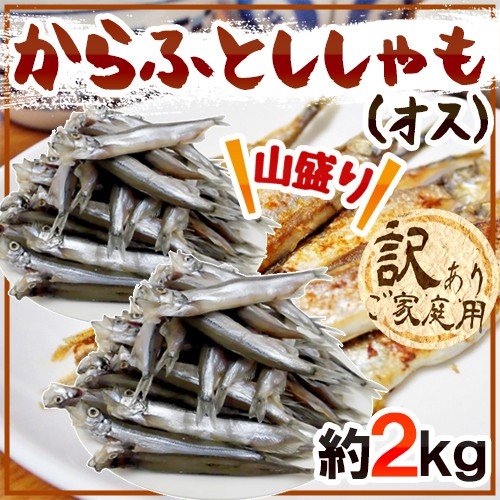 ”カラフトししゃも（オス）” 約2kg 訳あり カラフトシシャモ 樺太ししゃも 送料無料