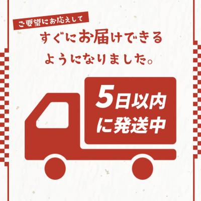 ふるさと納税 境町 境町産こしひかり使用 低温製法米パックライス 180g×40個