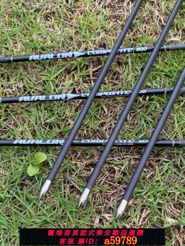 【全網低價 可打統編】阿瓦隆碳素箭 射箭館反曲弓比賽純碳箭防打釘箭彈射弓箭射箭運動
