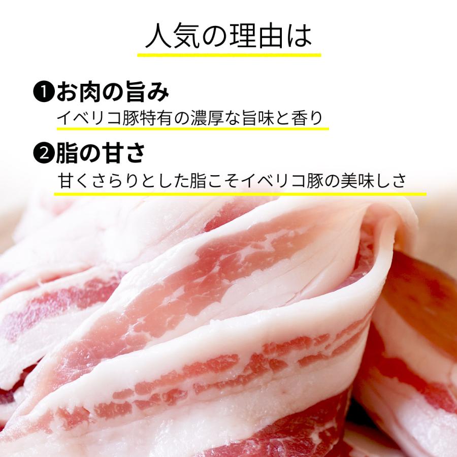 豚肉 豚バラ イベリコ豚 ジューシー しょうが焼き 1kg (200g×5）