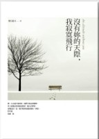 沒有妳的天際，我寂寞飛行[二手書_普通]