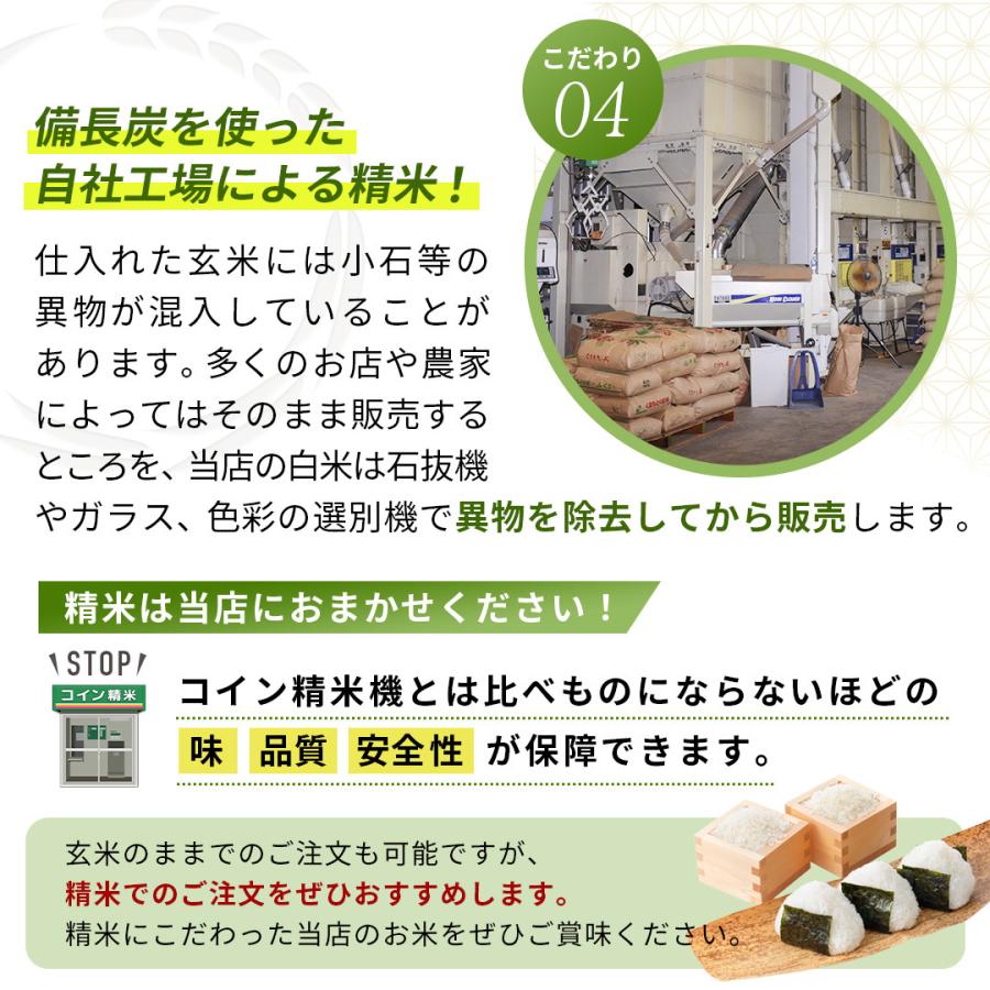 特別栽培米　熊本県産こだわり七城米　ヒノヒカリ ５ｋｇ×２袋　菊池米　減農薬米　米10kg