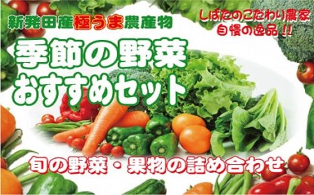 C31_02　季節の野菜おすすめセット