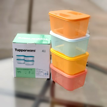 特百惠冷凍盒700ml繽紛冷凍中型保鮮盒4件套 廚房收納密封盒