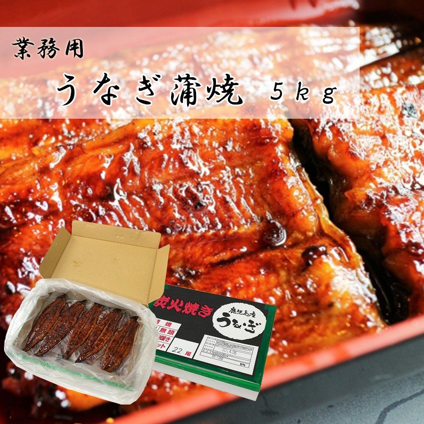 うなぎ蒲焼 5kg 箱 鹿児島県産 20-25尾入1尾200-250g 送料無料 業務用 国産 冷凍うなぎ 鰻 ウナギ