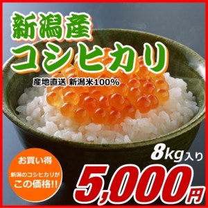 コシヒカリ 5000円分（8キロ） 新米 新潟米 お米 新潟産 産地直送 米 コメ お歳暮 自宅用 ギフト 贈答 贈り物