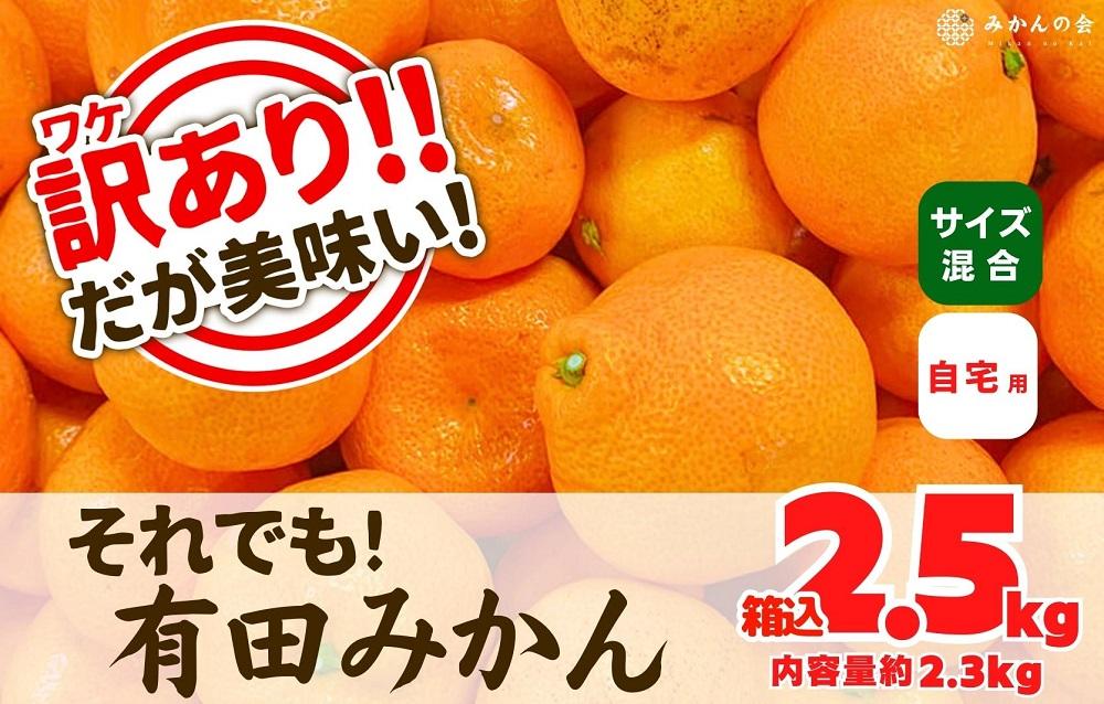 訳あり それでも 有田みかん 箱込 2.5kg (内容量約 2.3kg) B品 サイズミックス 和歌山県産 AX211