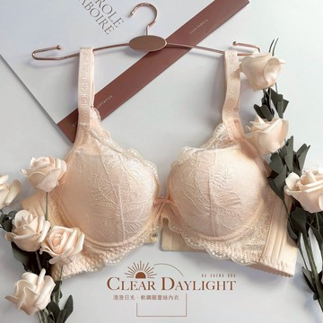 【大成內衣】澄澄日光．軟鋼圈蕾絲內衣 A2D-4693