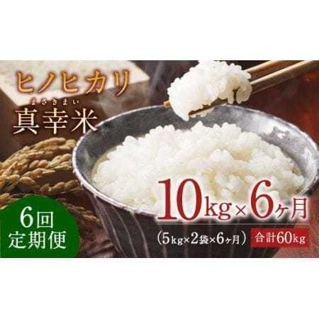 ふるさと納税 限定品 えびの産 ヒノヒカリ 真幸米 10kg×6ヶ月 宮崎県えびの市