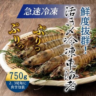 ふるさと納税 国東市 鮮度抜群!活き〆冷凍車海老(750g)_29017B