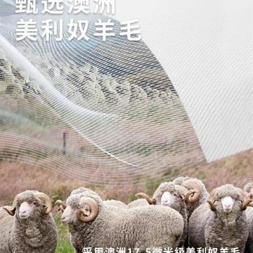 戶外男士夏日防曬涼爽天絲美利奴羊毛快干短袖美利奴羊毛t恤透氣