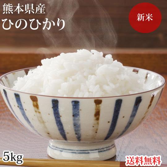 ひのひかり 米 送料無料 5kg 令和5年産 新米 熊本県産 お米 白米 玄米 コシヒカリ 森のくまさん